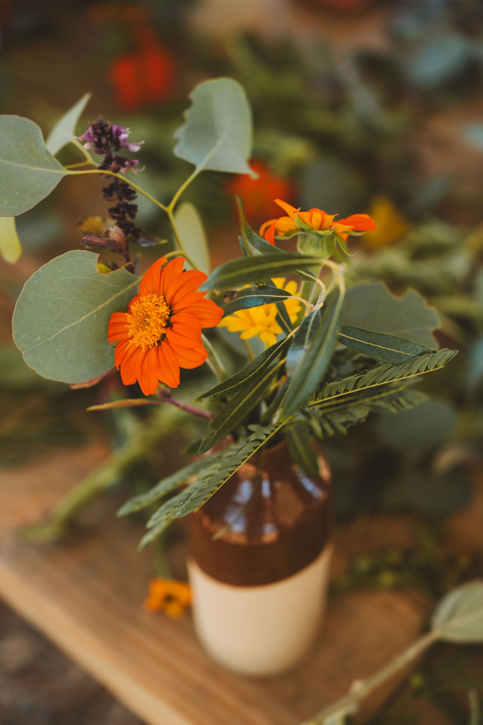 Grow Your Practice